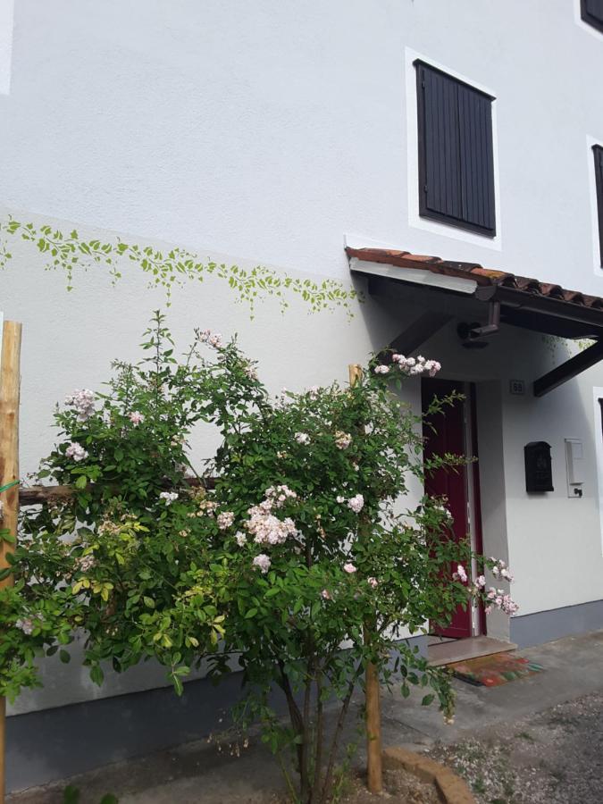 Le Giuggiole 5 Posti Letto In Una Casa Ricca D'Atmosfera Farra d'lsonzo エクステリア 写真